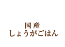 国産しょうがごはん